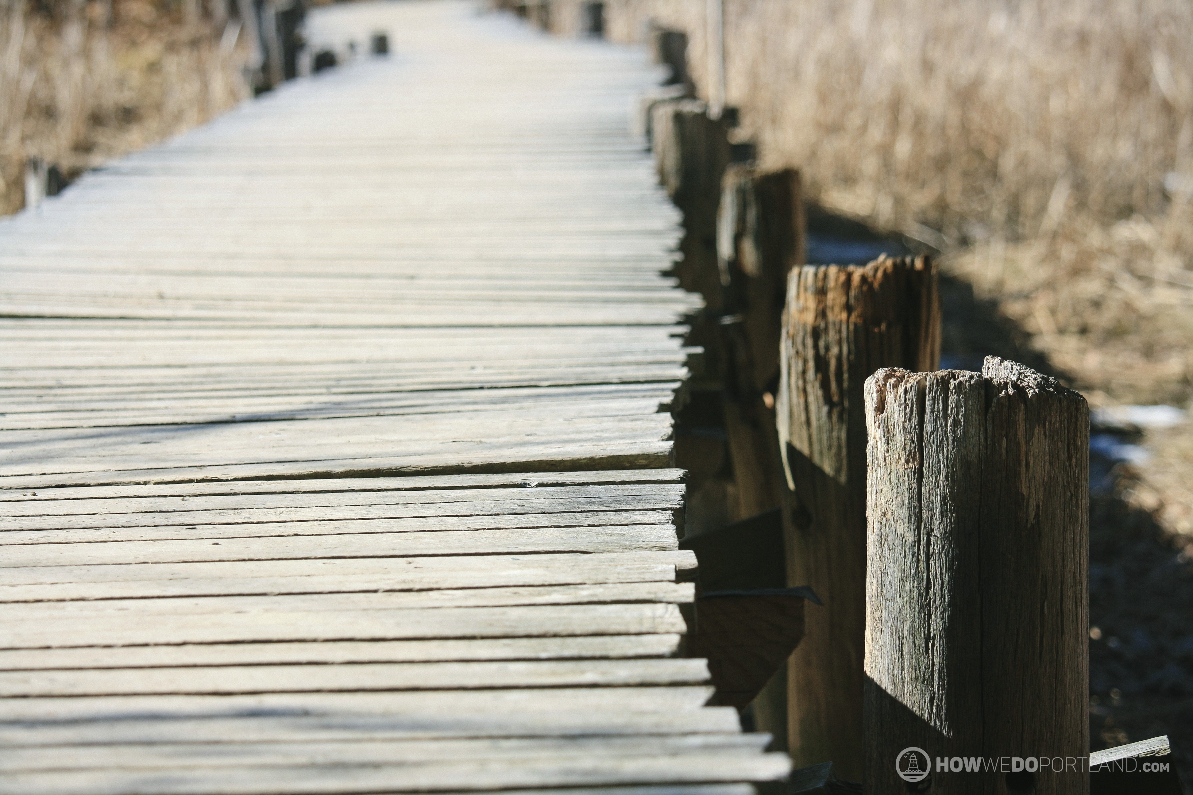 Boardwalk on Forest City Trail-Stroudwater