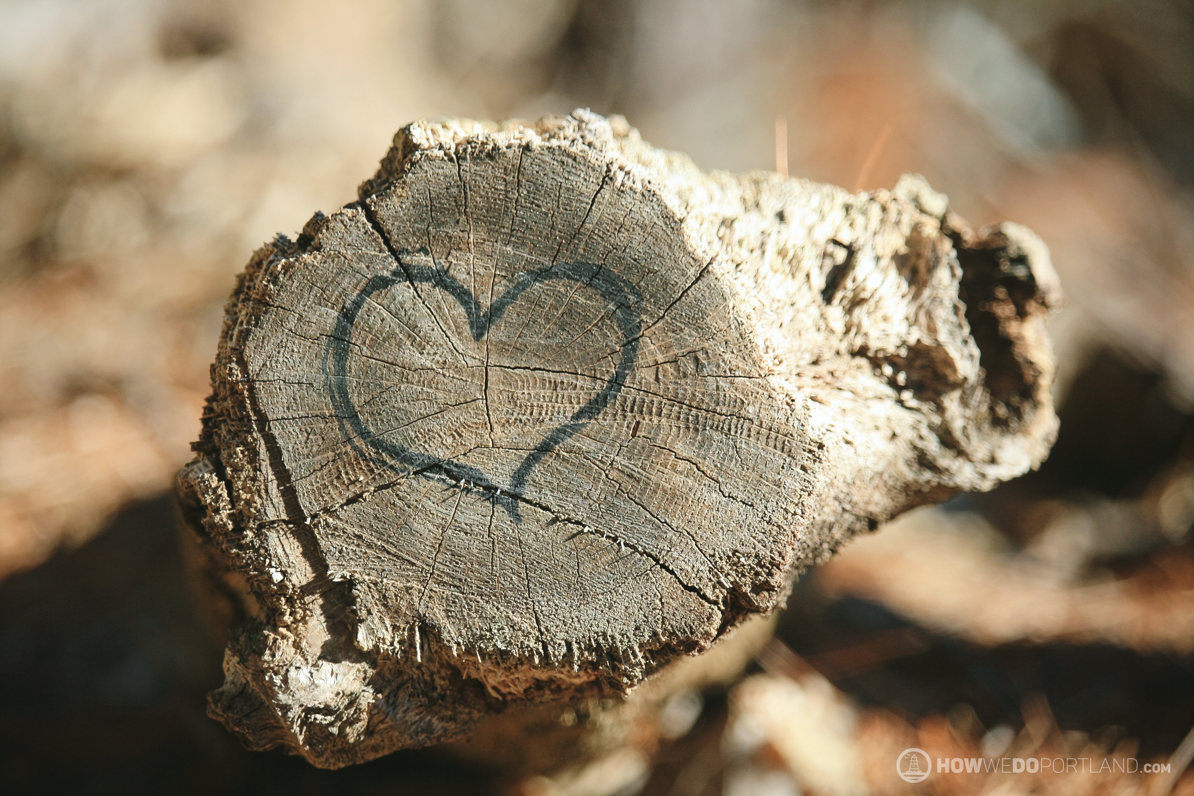 Man made art-Forest City Trail-Stroudwater