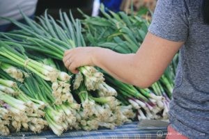 Scallions Galore!