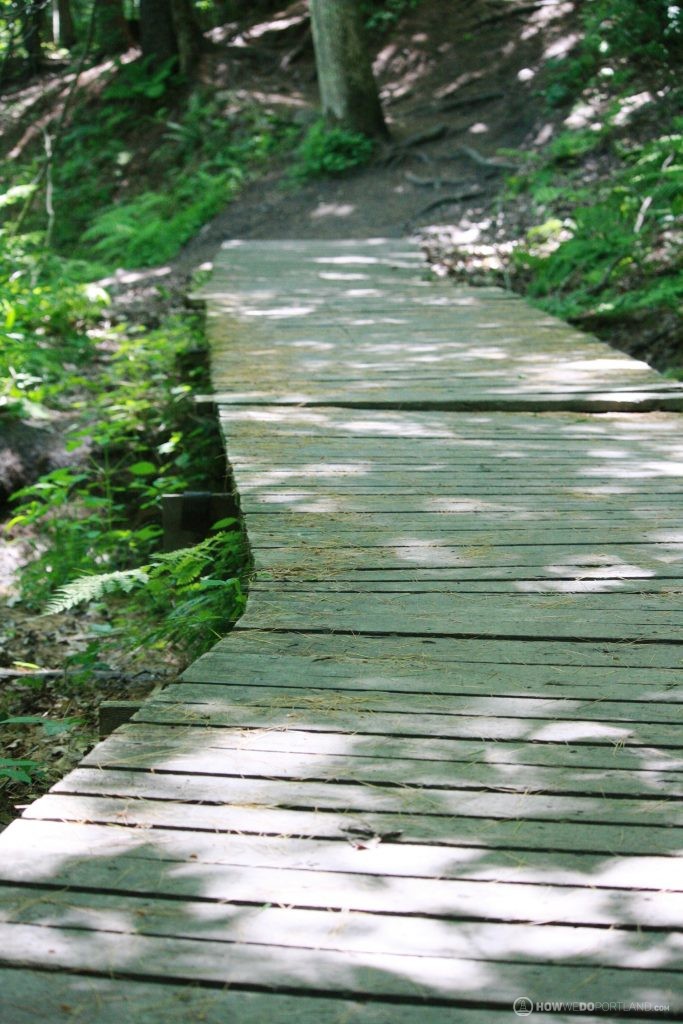 Presumscot River Trail: Bridges take you over wet / muddy areas