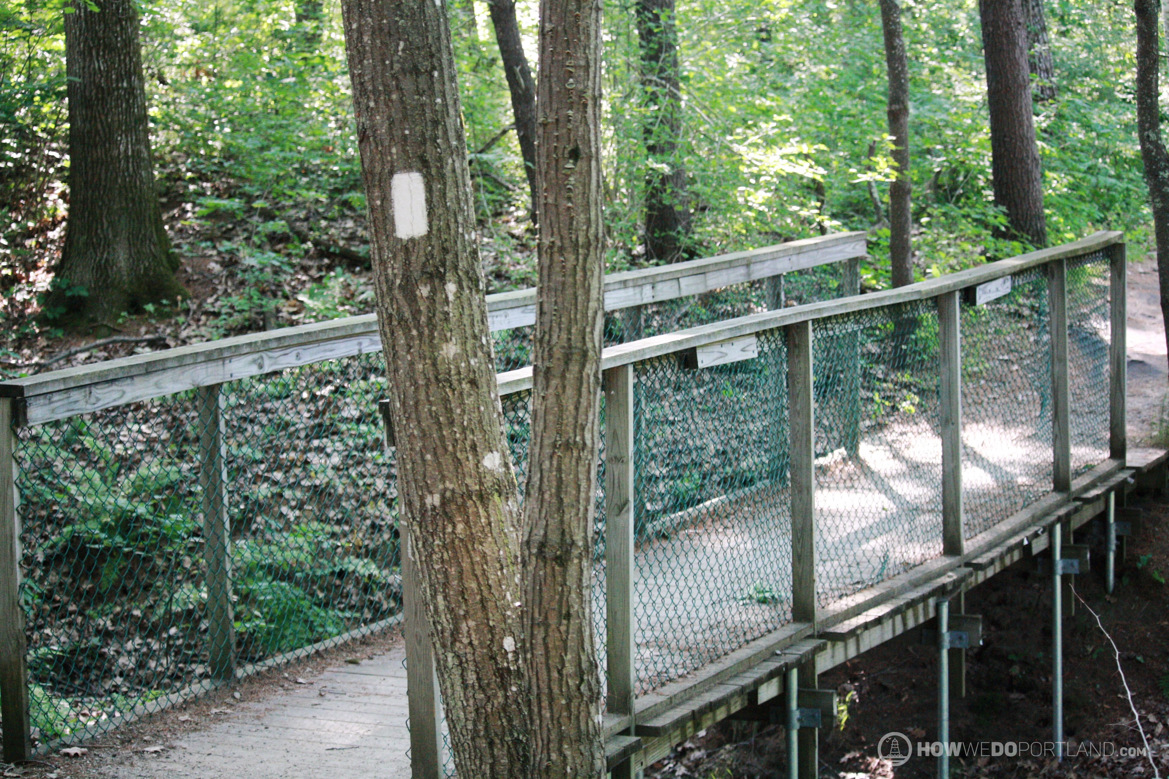 Stroudwater Trail: White Blaze & Bridge